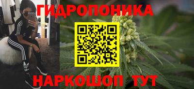 jwh Дубна